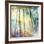 Sunset Ripple 1-Diane Poinski-Framed Giclee Print