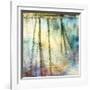 Sunset Ripple 1-Diane Poinski-Framed Giclee Print