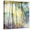 Sunset Ripple 1-Diane Poinski-Stretched Canvas