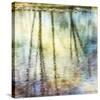 Sunset Ripple 1-Diane Poinski-Stretched Canvas
