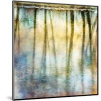 Sunset Ripple 2-Diane Poinski-Mounted Giclee Print