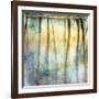 Sunset Ripple 2-Diane Poinski-Framed Giclee Print