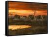 Sunset River Crossing-Trevor V. Swanson-Framed Stretched Canvas