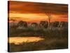 Sunset River Crossing-Trevor V. Swanson-Stretched Canvas