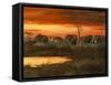 Sunset River Crossing-Trevor V. Swanson-Framed Stretched Canvas