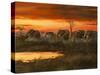 Sunset River Crossing-Trevor V. Swanson-Stretched Canvas