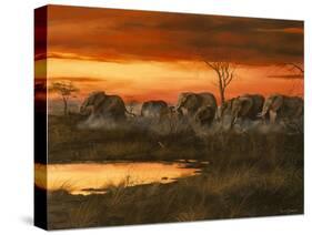 Sunset River Crossing-Trevor V. Swanson-Stretched Canvas