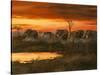 Sunset River Crossing-Trevor V. Swanson-Stretched Canvas