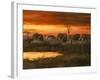 Sunset River Crossing-Trevor V. Swanson-Framed Giclee Print