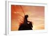 Sunset Roper-Amanda Smith-Framed Photographic Print