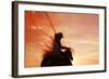 Sunset Roper-Amanda Smith-Framed Photographic Print