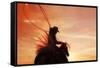 Sunset Roper-Amanda Smith-Framed Stretched Canvas