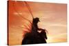 Sunset Roper-Amanda Smith-Stretched Canvas