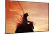 Sunset Roper-Amanda Smith-Mounted Premium Photographic Print