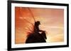 Sunset Roper-Amanda Smith-Framed Photographic Print