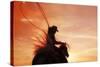 Sunset Roper-Amanda Smith-Stretched Canvas