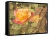 Sunset Rose-George Johnson-Framed Stretched Canvas