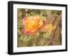 Sunset Rose-George Johnson-Framed Photographic Print