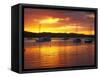 Sunset, Russell, Bay of Islands, Northland, New Zealand-David Wall-Framed Stretched Canvas