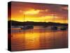 Sunset, Russell, Bay of Islands, Northland, New Zealand-David Wall-Stretched Canvas