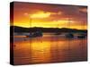 Sunset, Russell, Bay of Islands, Northland, New Zealand-David Wall-Stretched Canvas