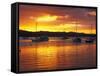 Sunset, Russell, Bay of Islands, Northland, New Zealand-David Wall-Framed Stretched Canvas