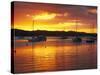 Sunset, Russell, Bay of Islands, Northland, New Zealand-David Wall-Stretched Canvas