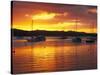 Sunset, Russell, Bay of Islands, Northland, New Zealand-David Wall-Stretched Canvas