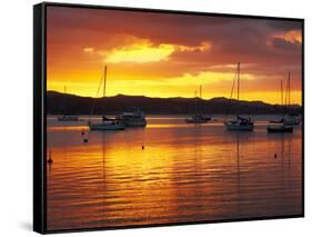 Sunset, Russell, Bay of Islands, Northland, New Zealand-David Wall-Framed Stretched Canvas