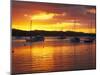 Sunset, Russell, Bay of Islands, Northland, New Zealand-David Wall-Mounted Premium Photographic Print