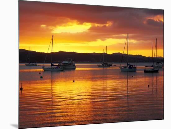 Sunset, Russell, Bay of Islands, Northland, New Zealand-David Wall-Mounted Photographic Print