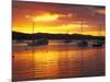 Sunset, Russell, Bay of Islands, Northland, New Zealand-David Wall-Mounted Photographic Print