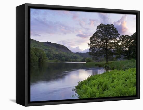 Sunset, Rydal Water, Lake District National Park, Cumbria, England, United Kingdom, Europe-Jeremy Lightfoot-Framed Stretched Canvas