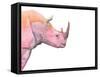 Sunset Safari III-Alicia Ludwig-Framed Stretched Canvas