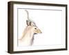 Sunset Safari IX-Alicia Ludwig-Framed Art Print