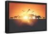 Sunset Safari-Solarseven-Framed Poster