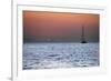 Sunset Sailboat Aegean Sea Santorini Greece-null-Framed Photo