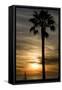 Sunset, Santa Monica Beach-Natalie Tepper-Framed Stretched Canvas