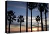 Sunset, Santa Monica Beach-Natalie Tepper-Stretched Canvas