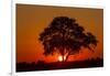Sunset, Savuti Marsh, Chobe National Park, Botswana-Paul Souders-Framed Photographic Print