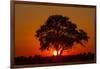 Sunset, Savuti Marsh, Chobe National Park, Botswana-Paul Souders-Framed Photographic Print