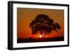 Sunset, Savuti Marsh, Chobe National Park, Botswana-Paul Souders-Framed Photographic Print