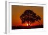 Sunset, Savuti Marsh, Chobe National Park, Botswana-Paul Souders-Framed Photographic Print