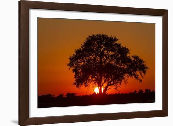 Sunset, Savuti Marsh, Chobe National Park, Botswana-Paul Souders-Framed Photographic Print