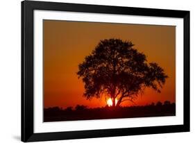 Sunset, Savuti Marsh, Chobe National Park, Botswana-Paul Souders-Framed Photographic Print