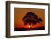 Sunset, Savuti Marsh, Chobe National Park, Botswana-Paul Souders-Framed Photographic Print