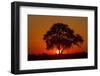 Sunset, Savuti Marsh, Chobe National Park, Botswana-Paul Souders-Framed Photographic Print