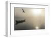 Sunset Scene-Kim Curinga-Framed Photographic Print