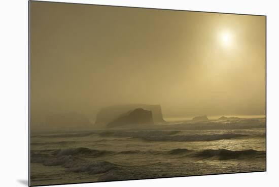 Sunset, sea stacks, Bandon by the Sea, USA-Michel Hersen-Mounted Photographic Print