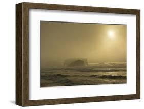 Sunset, sea stacks, Bandon by the Sea, USA-Michel Hersen-Framed Photographic Print